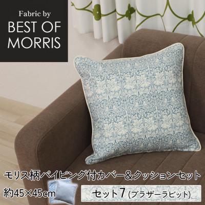 ふるさと納税 茅野市 縁付カバー&amp;クッション 45cm角 セット7 ブラザーラビット Fabric by ベストオブモリス