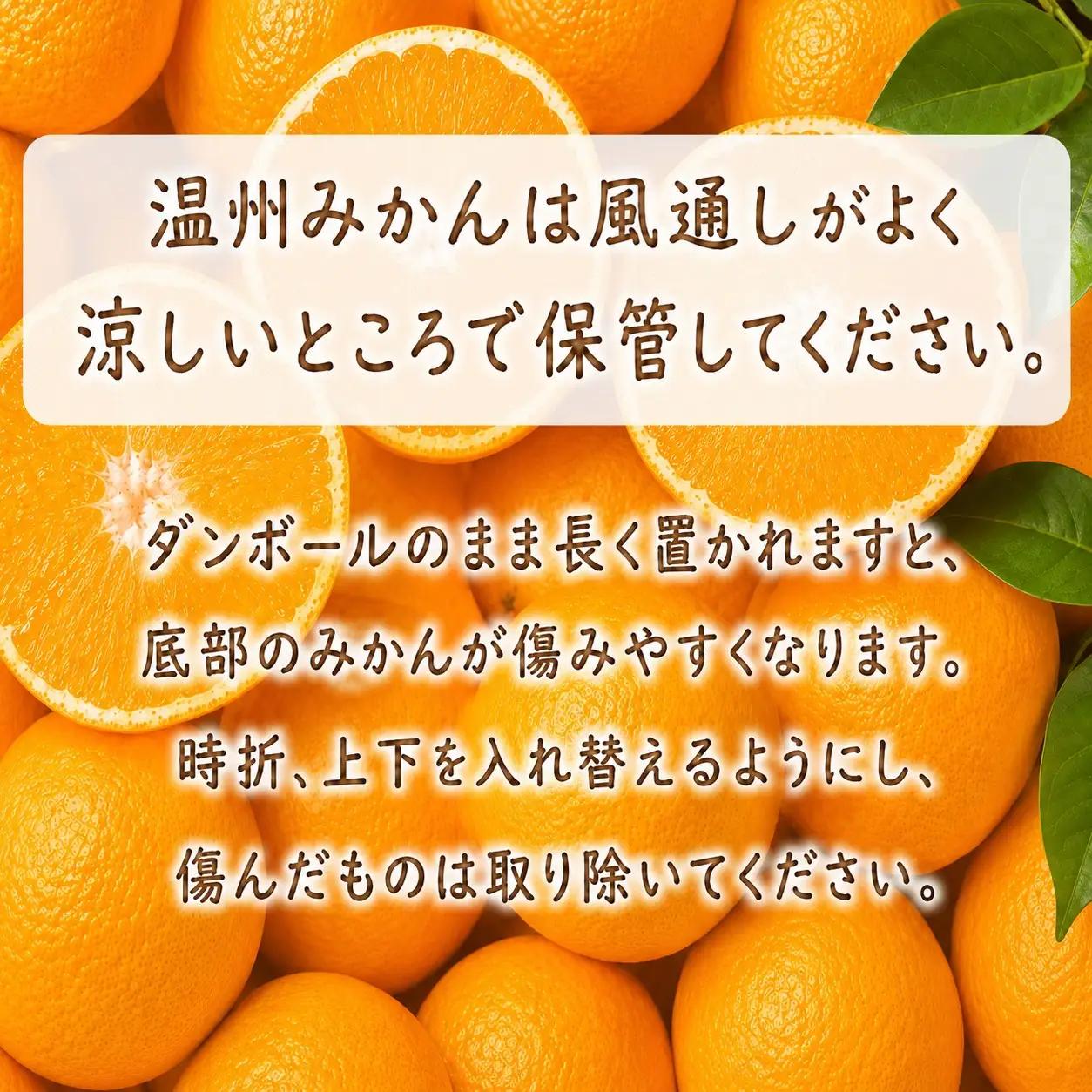 成田果樹園の温州みかん 5kg（ご家庭用）［1832］