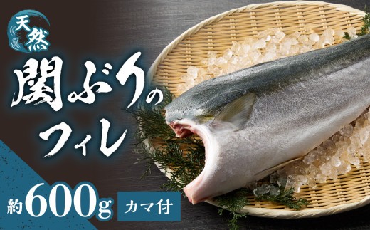 
                  関ぶりのフィレ（カマ付）　約1.5kg  関ぶり 天然 ぶり ブリ フィレ 高鮮度 カマ付 かま カマ 急速冷凍 冷凍 新鮮 ぷりぷり 刺身 焼き物 煮物 料理 佐賀関 大分 E04015
                