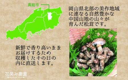 【2616-0480】岡山 花笑み農園 超希少！早『松茸』100g 梅雨の恵み (6月から7月発送)