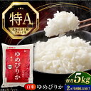 【ふるさと納税】 米 5kg 全2回 定期便 特A ゆめぴりか 北海道 白米 《厚真町》【とまこまい広域農業協同組合】 2回 米 お米 白米 ご飯 ゆめぴりか 特A 5kg 北海道 [AXAB062]