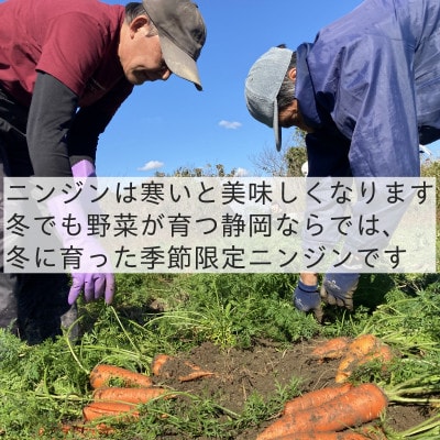 有機ニンジン　栽培期間中農薬不使用　有機JAS認証　冬季限定(12～3月発送)【配送不可地域：離島・北海道・沖縄県】