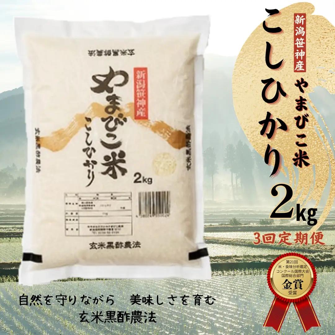 【令和8年産新米予約】【3か月定期便】コシヒカリ「やまびこ米」2kg×3回 玄米黒酢農法 金賞受賞 特別栽培米 白米 精米 農家直送 新潟県 米 こめ コメ 新米  新米予約 令和８年度産 10月中旬より順次発送 1P07021