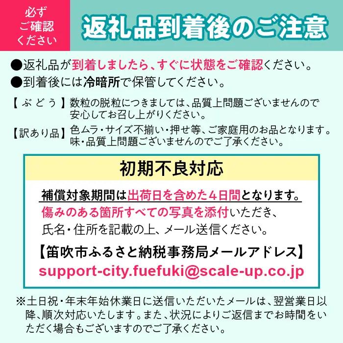 【2026年発送★先行予約】 巨峰 2～3房 約1.2kg ※クール便　154-026-26y | フルーツ 果物 高評価 人気 ランキング おすすめ 甘い 美味しい デザート 数量限定 送料無料 山