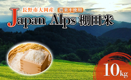 令和7年産 長野市大岡産農薬不使用Japan Alps棚田米10kg お米 
