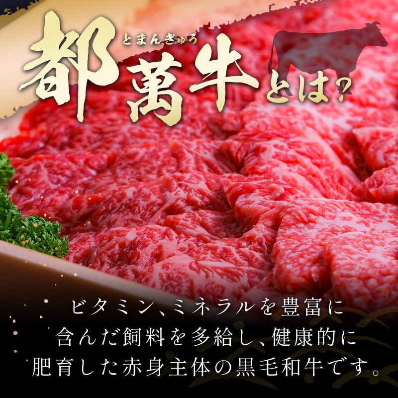 赤身主体の黒毛和牛＜都萬牛＞ロースすきしゃぶ 600g すきやき しゃぶしゃぶ【C384】_イメージ2