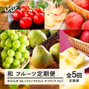 【ふるさと納税】【先行予約】和 フルーツ 定期便 山形 2025年産 令和7年産 さくらんぼ 佐藤錦 桃 もも シャインマスカット ラ・フランス りんご サンふじ 全5回 フルーツ定期便 送料無料 化粧箱 桐箱 ギフト 贈答用 ※沖縄・離島への配送不可 mm-ft5xx