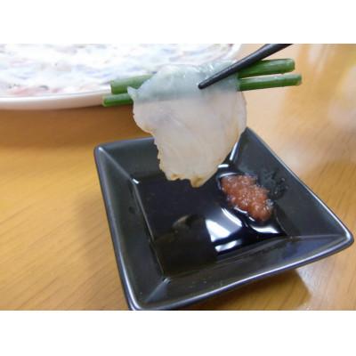 ふるさと納税 いすみ市 【いすみ市産】天然とらふぐ2尾盛り |  | 02