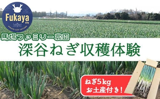 深谷でねぎ収穫体験（お土産ねぎ5kg）　【11218-0093】
