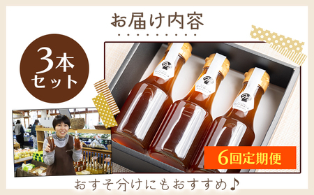 【定期便／年6回お届け】 香南市ジンジャーシロップ 生姜 (150ml)×3本セット 定期便 Wyr-0135