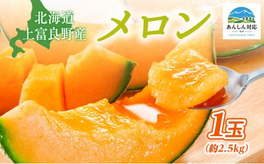 
JAふらの厳選！約2.5kg×1玉 赤肉メロン
