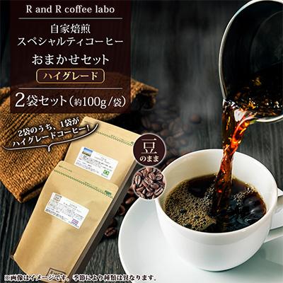 ふるさと納税 諫早市 自家焙煎スペシャルティコーヒーおまかせセット ハイグレード(豆のまま) 計2袋