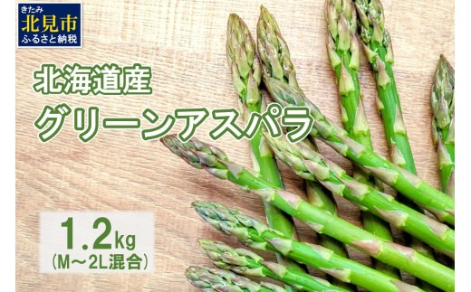 【朝採れ直送！】ほんのり甘い春の味覚！北海道のグリーンアスパラ 1.2kg M～2L混合サイズ ( アスパラガス グリーン 北海道 オホーツク 甘い 旬 サラダ 肉巻き) 【172-0002】