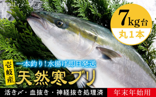 【11/1〜1/15お届け 年末年始用】天然 寒ブリ（7キロ台・丸もの） 《壱岐市》【壱岐島　玄海屋】[JBS016] ぶり 寒ぶり ブリ 魚 刺身 しゃぶしゃぶ   14万 100000 100000円 10万円