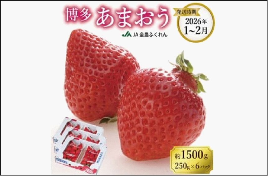 ＜2027年1月～2月発送＞博多あまおう 約250g×6