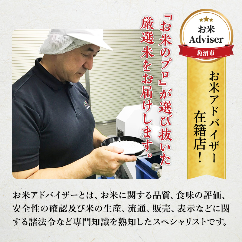 [令和5年産] 『お米アドバイザー厳選！』 9kg 魚沼産コシヒカリ （3kg×3袋） ≪精米≫ （ 米 コシヒカリ 令和5年 魚沼産 精米 白米 お米 こめ コメ こしひかり 魚沼 ）