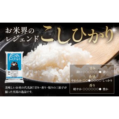 ふるさと納税 南阿蘇村 【12ヶ月定期便】米 無洗米 ひのひかりこしひかり 食べ比べ 20kg