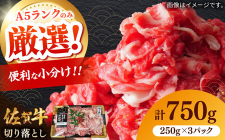 佐賀牛切り落とし 計750g（250g×3パック） / 切り落とし 佐賀牛 黒毛和牛 [41AOCW018]