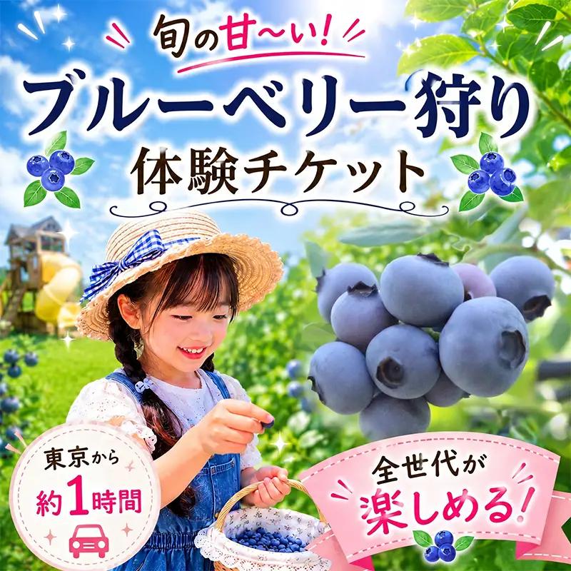 ブルーベリー狩り 体験チケット【体験】