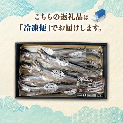 ふるさと納税 釧路市 北海道産 さんま のいちばんぼし★ 10尾 干しさんま サンマ 秋刀魚 干物 F4F-9186 |  | 03