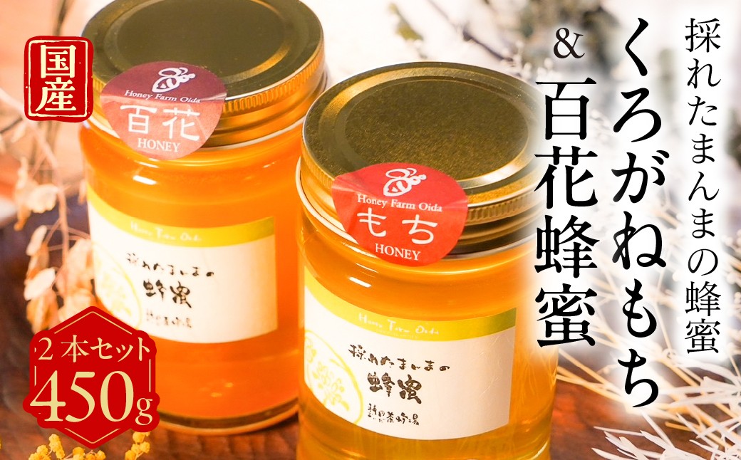 
                  【国産蜂蜜】食べ比べ４５０ｇ2本セット（くろがねもち蜂蜜、百花蜂蜜）｜はちみつ 蜂蜜 ハチミツ 純粋はちみつ 天然はちみつ 国産はちみつ 非加熱はちみつ 生はちみつ はちみつ 蜂蜜 ハチミツ 非加熱 無添加 純粋 天然 完熟 濃厚 希少 保存 美味しい 種田養蜂場 岐阜県 大垣市
                