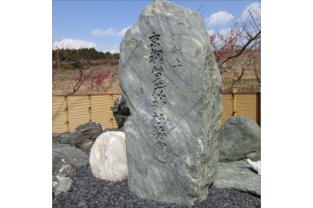 【0641-3】贈答　薬師梅　二種セット　各450ｇ