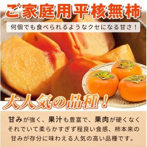 【先行受付】【日高町】【ご家庭用わけあり】和歌山秋の味覚　平核無柿(ひらたねなしがき)　約7.5kg【1217363】