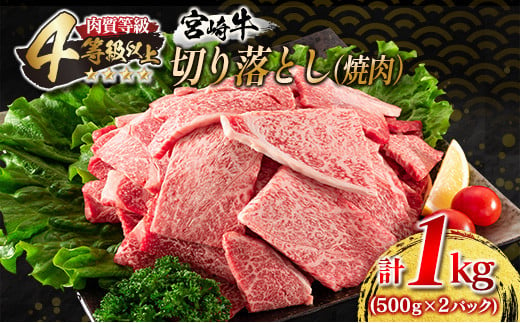 宮崎牛 切り落とし 焼肉 計1kg 牛肉 国産 食品 おかず 黒毛和牛 万能食材 炒め物 ビーフ 人気 おすすめ お取り寄せ グルメ パーティー お祝 記念日 ご褒美 贅沢 高級 ブランド牛 BBQ キャンプ アウトドア グランピング 宮崎県 日南市 送料無料_DC15-23