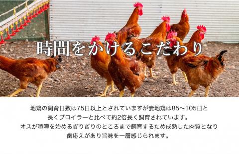 「妻地鶏」チキン南蛮詰合せ30（190ｇ×4個）＜1-145＞