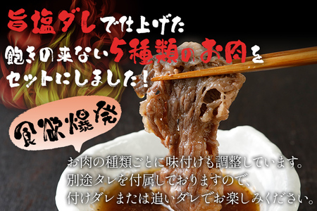 焼肉 5種食べ比べセット 2kg 400g×5パック 牛バラ ポークタン 鶏モモ 塩ホルモン 豚バラ 旨塩カルビタレ180ml×1本 カルビ スライス 塩だれ 旨塩 タレ漬け 味付け 鉄板焼き 野菜炒