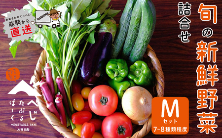 【大阪能勢産】 《農家直送》 べじたぶるぱーくの旬の新鮮野菜詰合せ Mセット (7～8種類)