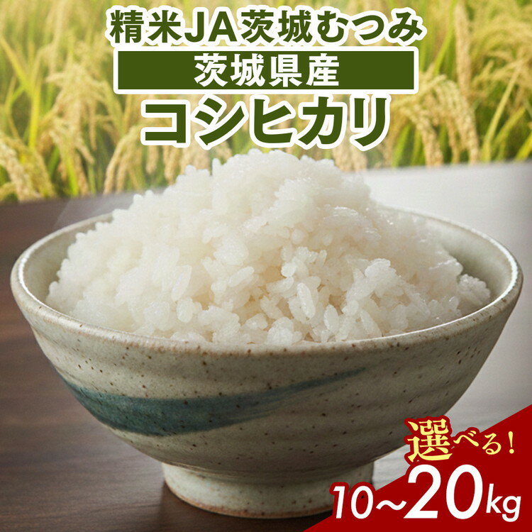 【ふるさと納税】＼選べる容量／【令和7年産】茨城県産コシヒカリ 精米JA茨城むつみ | 米 こめ コメ こしひかり JA 定番 ご飯 白米 プレゼント ギフト お祝 贈答 贈り物 記念品 景品 _CL05 _CL06 ※2025年10月下旬頃より順次発送予定