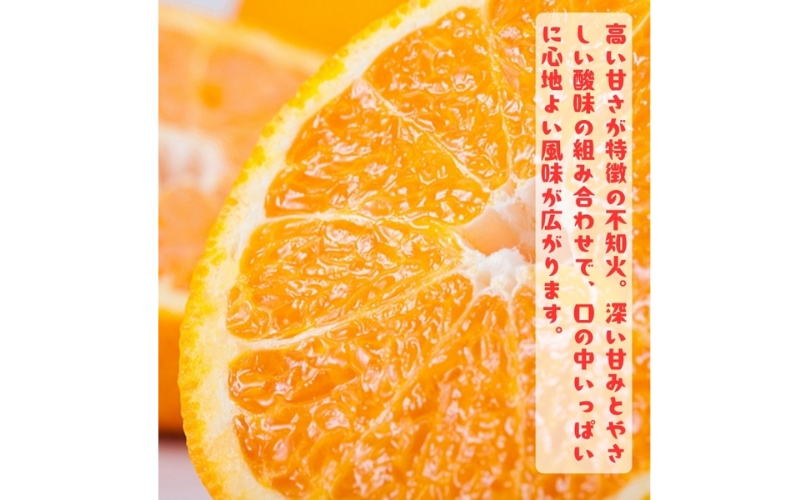 有田育ちの濃厚 不知火 ( デコポン と同品種)( 訳あり 家庭用 )  1kg+200g(痛み補償分) ※2027年1月下旬～3月下旬に順次発送【ard208A】