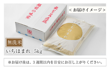 【令和5年産】いちほまれ 無洗米 5kg×1袋《お米マイスターが発送直前に精米！》／ 福井県産 ブランド米 ご飯 白米 新鮮