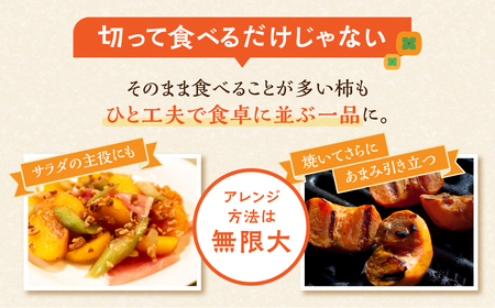≪先行予約≫ 豊橋石巻柿工房の『次郎柿』3kg