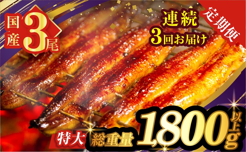
                  【3回連続定期便】うなぎ蒲焼3尾(さんしょう・たれ付き)総重量1800g以上 鰻 魚 魚介 加工品 国産_T026-0147-R
                
