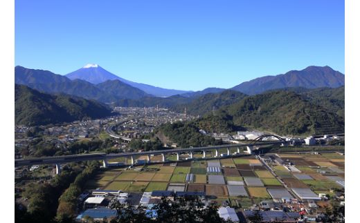 【返礼品なし】都留市ふるさと応援寄附金 1口2000円