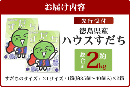 【先行受付】澄んだ空気と清らかな水で育った ハウスすだち 約2kg (2Lサイズ/1kg×2箱)「2025年6月より順次発送」【徳島県 那賀町 国産 すだち スダチ 酢橘 柑橘 果物 青果 特産品 果