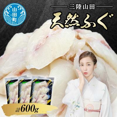 ふるさと納税 山田町 三陸山田 天然 ふぐ 小分け 200g×3パック 計600g フグ