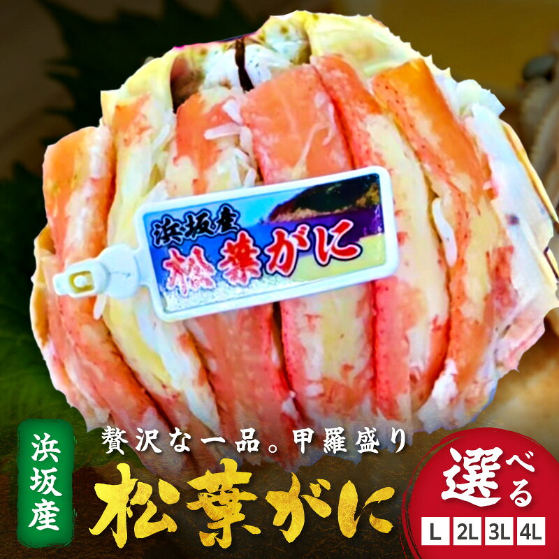 【ふるさと納税】松葉ガニ 甲羅盛 L 2L 3L 4L1個