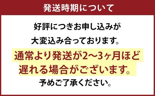 球磨川小刀 フルタングナイフ 手打ち包丁 鍛造刃物 伝統工芸品 ナイフ キッチン