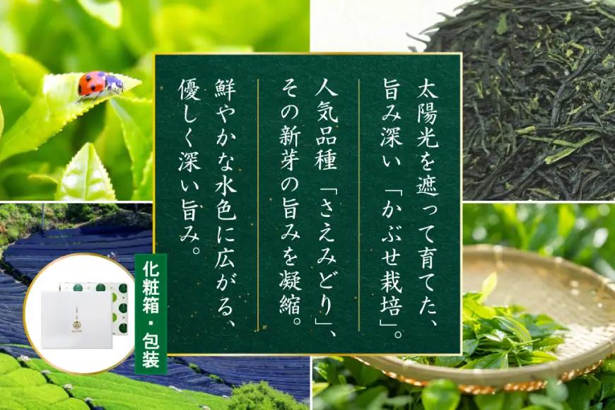 お茶 緑茶 深蒸し煎茶 深緑 80g×2本