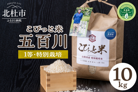 【令和7年度新米】【令和7年度米】こぴっと米【五百川】10kg　1等特別栽培米100％  米 精米 10kg こぴっと米 早生品種 新米 令和7年産 北杜市産 お米