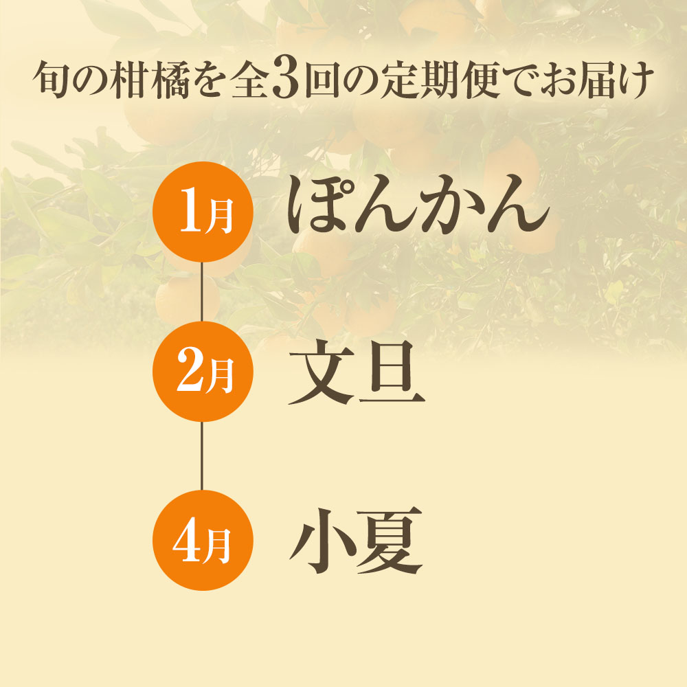 先行予約 オレンジ園の柑橘3種（ぽんかん・文旦・小夏）各5kg 3回定期便 ポンカン ぶんたん こなつ 果物 蜜柑 みかん ミカン 柑橘 フルーツ デザート 国産 常温 配送【J00104】