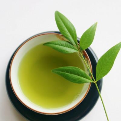 ふるさと納税 川崎町 【毎月定期便】八女茶【特上】煎茶セット　100g×2袋(川崎町)全2回 |  | 03