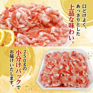 【小分け】宮崎県産豚肉切り落とし3.5kg 【 豚肉 豚 肉 宮崎県産 小分け パック 送料無料 】