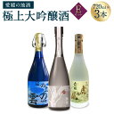 【ふるさと納税】極上大吟醸酒 Eセット 720ml×3本 飲み比べ 飲みくらべ 日本酒 大吟醸 お酒 酒 さけ 地酒 高級 ハイクラス 送料無料 (75)