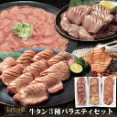 【ふるさと納税】牛タン3種お試し バラエティセット 500g×3パック（計1.5kg） 牛肉 肉 焼肉 BBQ たんもと たんなか 塩牛タン 冷凍 真空パック 味付け肉 一番人気 塩味 お取り寄せ 岩手県 花巻市