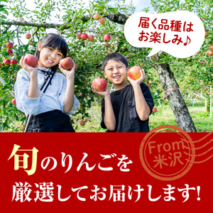 【先行予約】 令和8年産 りんご 品種お任せ 秀品 約2kg 5玉 ～ 8玉 中生種 涼香の季節 昂林 など 2026年10月上旬～下旬頃 お届け予定 山形県 米沢市