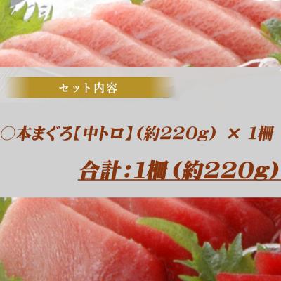 ふるさと納税 室戸市 厳選 天然本まぐろ中トロ1柵 たっぷり 堪能 【年末発送】 |  | 02